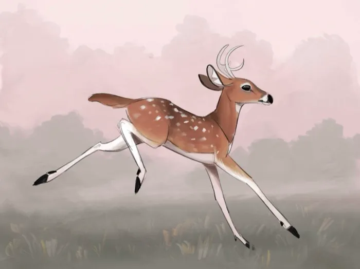 Illustration by Therese Kerner